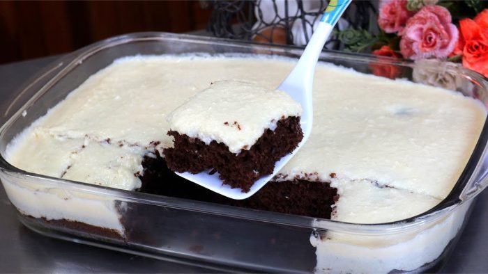 FÁCIL E FOFINHO! BOLO DE ÁGUA QUENTE DELICIOSO: BOLO RÁPIDO DE CHOCOLATE COM COCO